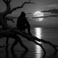 T ė q U i L å.. - Site Yonetici