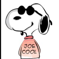 Snoopy - Site Yonetici