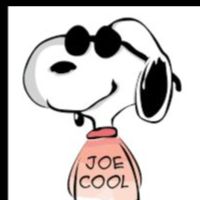Snoopy - Site Yonetici