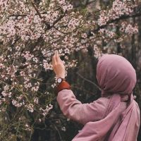 Sessiz Nota - Site Yonetici