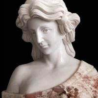 Lavinia - Site Yonetici